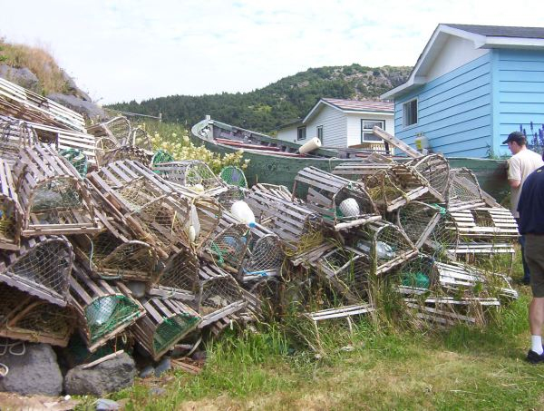 615: Lobster pots at Red Island harbour. (2003) [courtesy of Stephen Mulrooney]